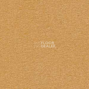 Ковролин Radici Nexus Biscotto 2407 фото 1 | FLOORDEALER